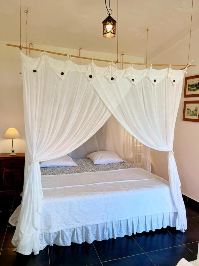Habitation La Reine Du Camp Chambres D'Hotes サン・クロード エクステリア 写真