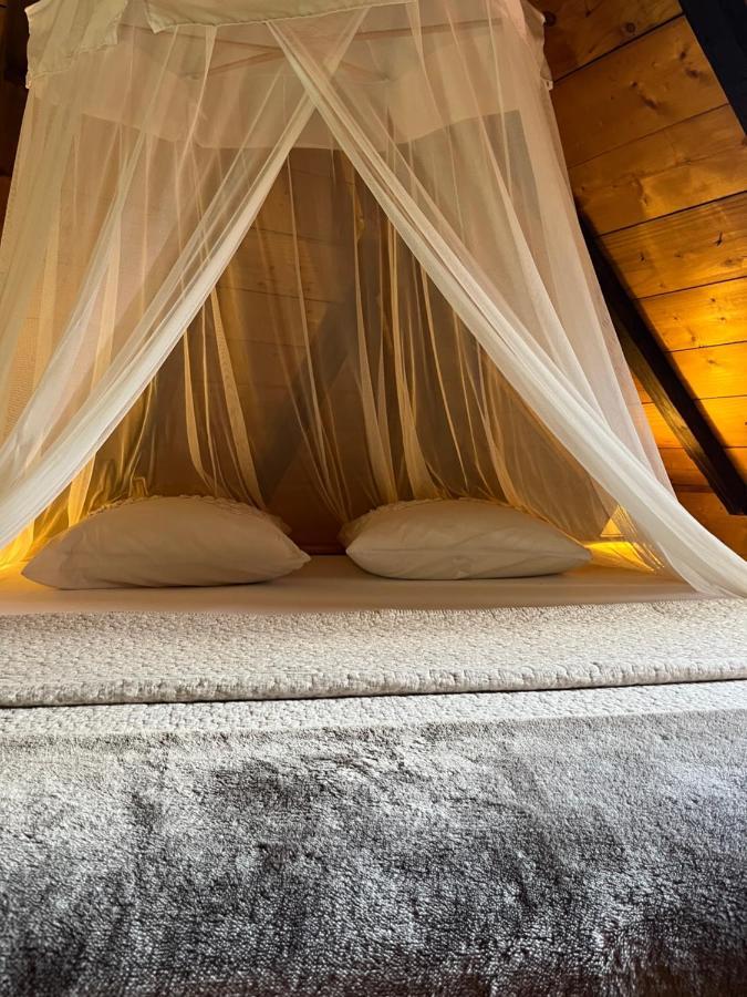 Habitation La Reine Du Camp Chambres D'Hotes サン・クロード エクステリア 写真